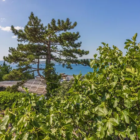 Apartmán Azur Dramalj